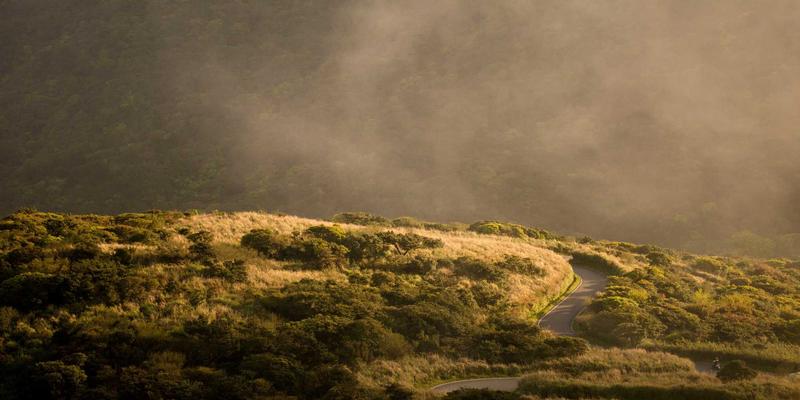 现代前端架构演进：从SPA到微前端，再到Islands架构的核心原理与选型指南