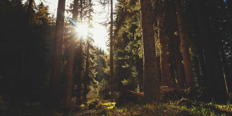 高性能缓存系统设计实战:从Redis集群到Caffeine本地缓存的多级架构模式解析